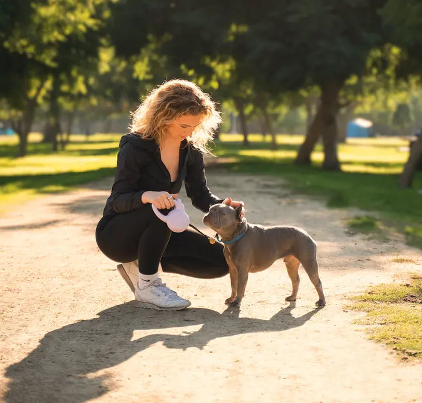 The Barkly Leash with a Built-In Personal Safety Alarm in Lilac