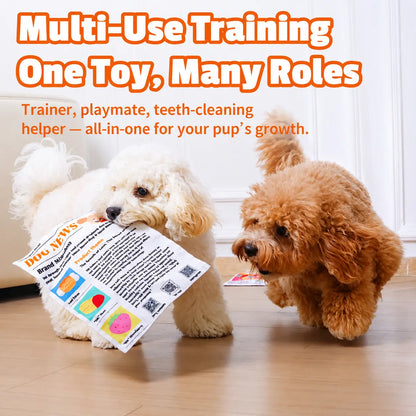 Durable Newspaper Pet Balloon Dog Toy - Crinkle Chew for Boredom Relief, Teeth Cleaning, Interactive Play - Safe, Non-Toxic, Washable, Quick-Dry